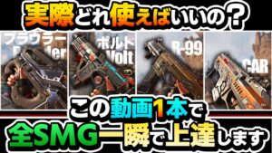 【比較】今、何使えばいい?データから考えるSMGの使い方・選び方解説ボルト CAR プラウラー R-99【APEX エーペックスレジェンズ】