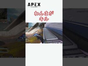 【ApexLegends】ワンマガキル集!!そこのけそこのけpadが通る【エーペックス】#Shorts