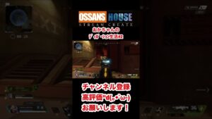 【Apex Legends】おかちゃんのディボーション生活#2 #エーペックス #エーペックスレジェンズ #apex #apexlegends #ディボーション #生活