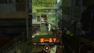 野良さんからのラブコール#shorts #エーペックス #心開いてくれた#ラブコール