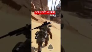 【新キャラコン】世界に一つだけのキャラコン。#エーペックス #エーペックスレジェンズ #閃光のハサウェイ #キャラコン