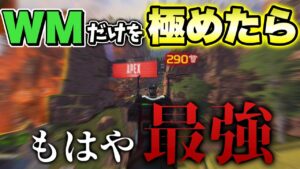 【最強】ウィングマンだけを900時間以上撃って極めた結果、最強へと上り詰めてしまってるはずだったのだが… -Apex Legends-
