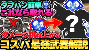 【実はダブハン向き】この武器強いの知ってる?ハンマー取りたい人が使うべき超おすすめ武器解説【APEX エーペックスレジェンズ】 ダブハン取り方