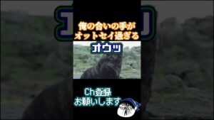 俺の合いの手がオットセイ過ぎた【APEX/エーペックス】#Shorts #apex #apexlegends