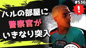 SWAT事件が再び..!リスナーの嫌がらせで警官がハルの部屋に突入してしまう! 海外配信者ハイライト#536【日本語訳つき】#Apex  #エーペックス #クリップ集