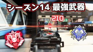 シーズン14の最強武器が決定しました【APEX LEGENDS】
