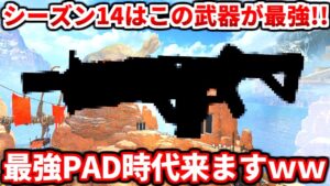 シーズン14はPADが更に強くなる!?最強になるであろう武器やキャラについても語るよ!【APEX LEGENDS立ち回り解説】