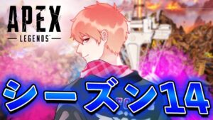 【APEX】カレー成功らんくま【APEX/エーペックスレジェンズPC版】