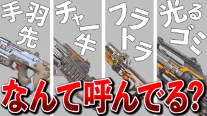 【Apex】それ違うよ。武器の正しい2つ名