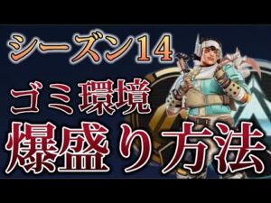 【辛口解説】S14ランクにイライラしてる人は見てください #apex