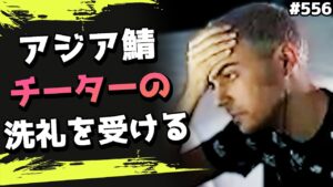 TSMよ、これがアジア鯖だ!ハルの叫び声がブース中に響き渡るwww 海外配信者ハイライト#556【日本語訳つき】#Apex  #エーペックス #クリップ集