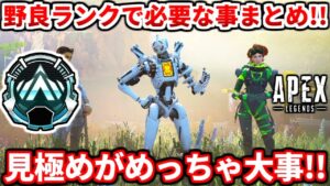 野良ランクで大事なポイントまとめ!これでランクアップ!?ゴールドプラチナダイヤ必見!初心者は絶対見よう!【APEX LEGENDS立ち回り解説】
