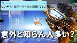 リスナーから200件くらいDMが来たセンチネルの裏仕様について改めて紹介するわ | Apex Legends