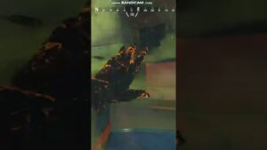 【APEX】影なんでガスとか関係ないっすシャドウロワイヤル【エーペックス】#Shorts #apex #apexlegends #エーペックス  #ゲーム #fps #えーぺっくす#シャドウロワイヤル