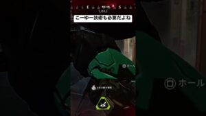 【APEX】やられた人ごめん【エーペックス】#apex #apexlegends #エーペックス #エーペックスレジェンズ #エペ #pad #神エイム #オクタン #car #カー #smg