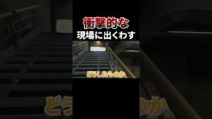 ジブ二―を受け止めるシアwww #shorts #apex #エーペックスレジェンズ