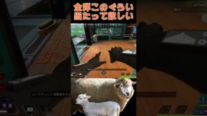 【エーペックスレジェンズ】毎回これぐらい当たればいいのに【センチネル】#shorts