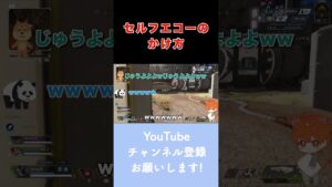 セルフエコーのかけかた【エーペックスレジェンズ】