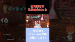 聞いてない聞いてない【エーペックスレジェンズ】