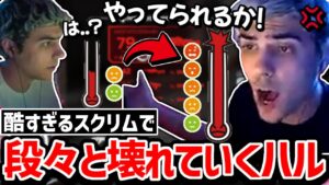 世界スクリムの質が酷すぎて1試合ごとに怒りのボルテージが上がっていくハル!!【クリップ集】【日本語字幕】【Apex】