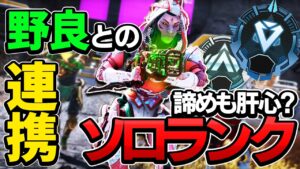 【Apex】順位?キルポ?野良ランクするならどうする?【エーペックスレジェンズ】