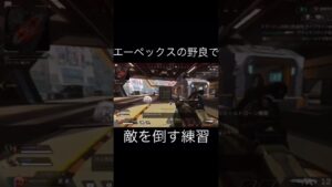 【エーペックス】野良で敵を倒す練習をする初心者