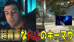久しぶり!超貴重なハルのキーマウ【Apex翻訳】【まとめぺくす】