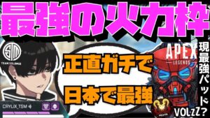 【Crylix】「実力は日本NO.1だよ」最強のPAD使い”VOLzZ”の評価を語るCRYLIX【日本語字幕】【Apex】【Crylix/切り抜き】