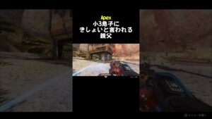apex 息子にきしょいと言われる親父