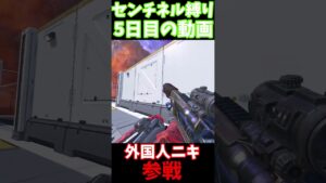 1週間センチネル縛り生活5日目 #apex #センチネルしか勝たん #apexlegends #エーペックス