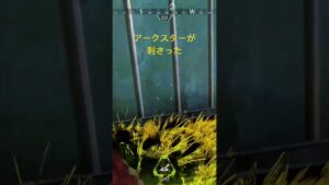 エーペックスPS5アークスターが刺さった男の末路#shorts#apex#apexlegends#エーペックスレジェンズ#エーペックス