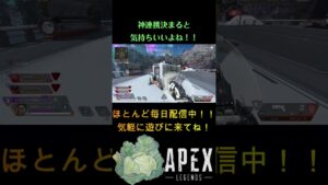 ワンマガ気持ちええんじゃ~ #apex #apexlegends #エーペックス #カジュアルマッチ